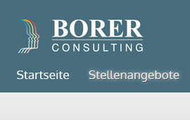 Vorschaubild der Homepage der Borer Consulting GmbH